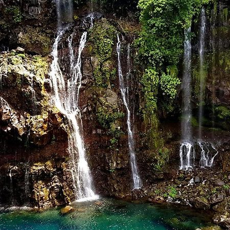 Le Gecko Vert Manapany-les Bains Екстериор снимка